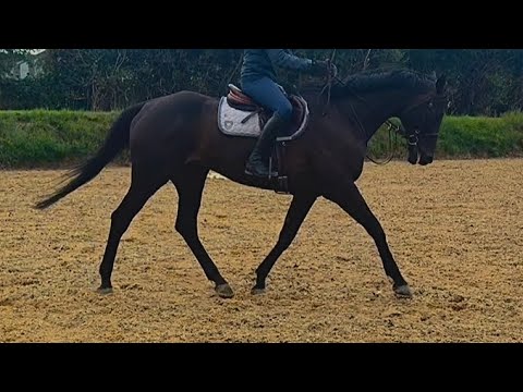 Stunning ROR prospect - Image 2