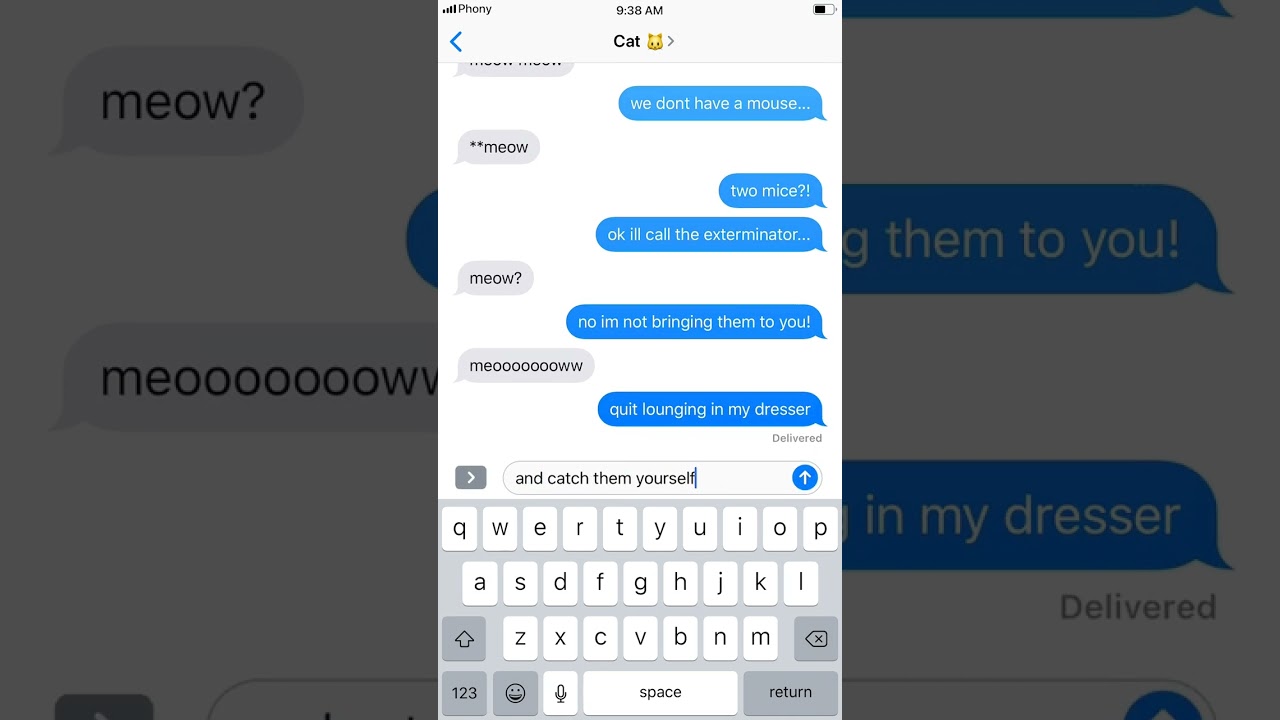 My Cat Can Talk! 🙀