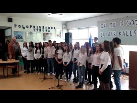 Učenici MSŠ Kalesija - Love in Rewind (www.NKP.ba)