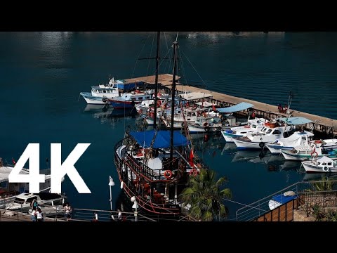 Coast | beach | sea | shore | Cliff | beach costs | coastline | Ocean 🌊| sea ​​waves | forest.