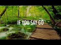 If You Say Go // Vineyard | Rita Springer // Lyrics