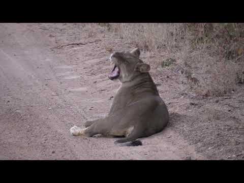 Mozambique - Mokore Safaris