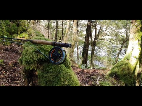 Pre-season warm up trip