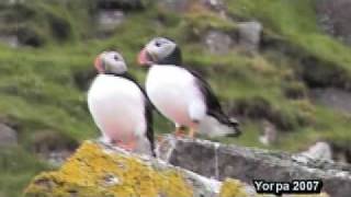 The Shiants are a small group of islands in the Hebrides