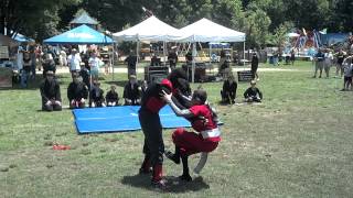 preview picture of video 'Live Action Martial Arts Demo - Mtn Laurel Festival 5.19.12.mp4'