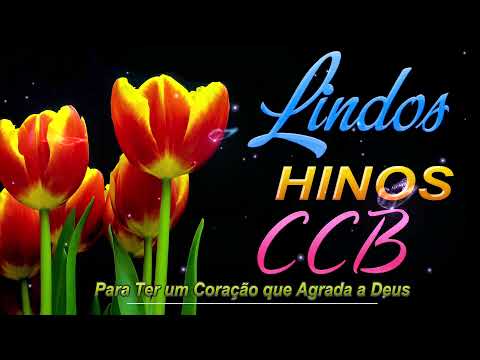BELOS HINOS CCB 🌹 Hinário 5 🌷 Top Hinos Cantados CCB#