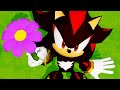 Can I Beat Shadow The Hedgehog As A Pacifist