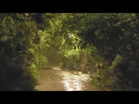 🎧 Soothing and Relaxing Rain in the Old Park at Night - 10 Hours for Relaxation, Sleep & Study - 4K