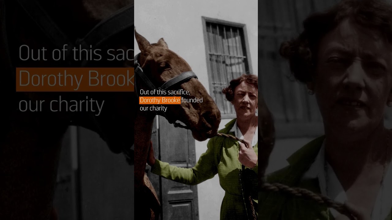 Every Horse Remembered