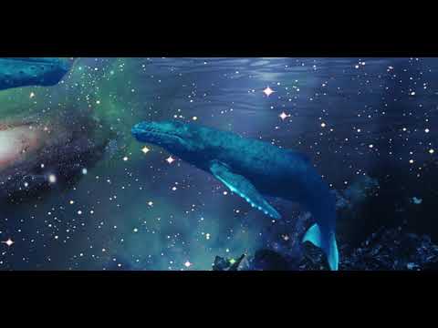 14. MC Losibe - Cree Siendo Feat. Ignacio Torres