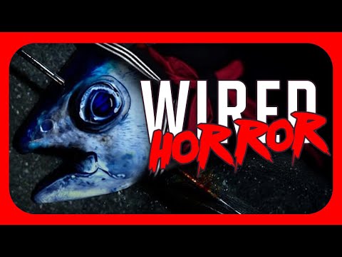 🔴WIRED HORROR l JULIAN & FRIENDS l TERRORS TO UNVEIL l ONCE UPON A MIND l UMIGARI l ROUTINE