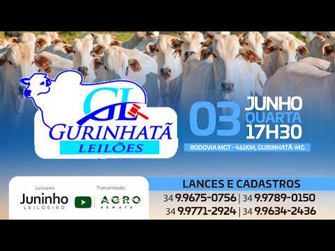 LEILÃO DE CORTE - GURINHATÃ LEILÕES 03/06/2026 - AGROREMATE