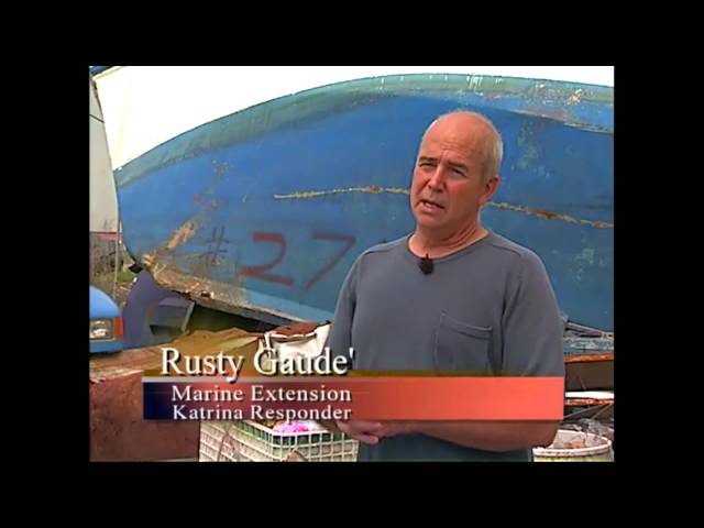 Video Pronunciation of GERICA in English