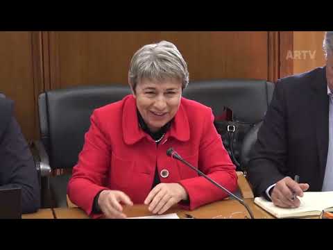 29-03-2023 | Audição da ANVETEM - Associação dos Veterinários dos Municípios | Berta Nunes