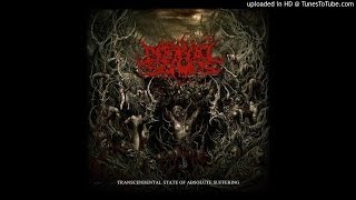 Darkall Slaves – Transcendental State of Absolute Suffering