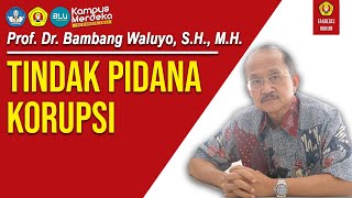 Prof. Dr. Bambang Waluyo, S.H., M.H. - TINDAK PIDANA KORUPSI