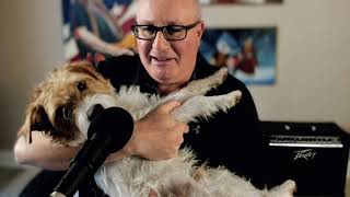 Local SEO Tip #2 For Outranking Your Dog Training Business Competitors on Google Maps!!