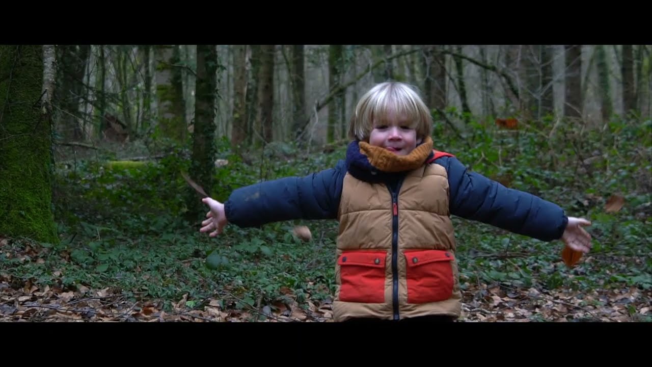 Présentation La Bûche Jurassienne – bois de chauffage et pellets en Franche-Comté