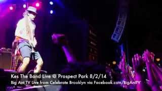 Kes The Band @ Celebrate Brooklyn Prospect Park 8/2/14 via Big Ant TV (Sights & Sounds)
