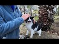 Tuxie The Cat I Haven T Seen For A Long Time Missed Me So Much