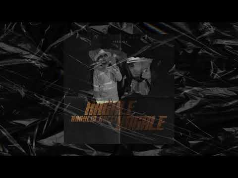 HAGALE HAGALE - Braylin Gucci ( Cover Audio)