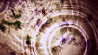 Bibio - 'Silver Wilkinson' Album Sampler