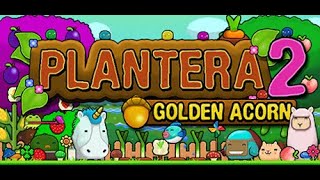 Kisa Tanitim ve Puanlama:Plantera 2 Golden Acorn