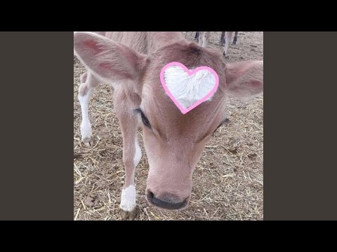 Video thumbnail for Ti amo solo il venerdì