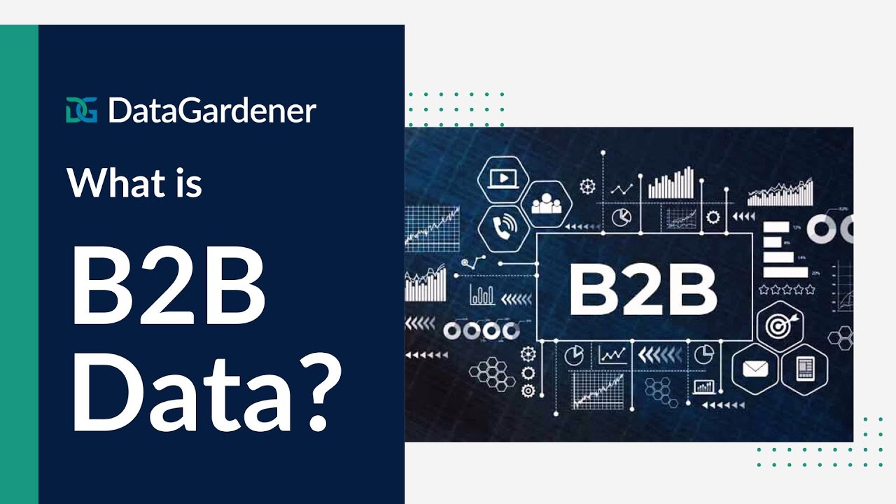 What is B2B Data? | Understanding B2B Data for Sales & Marketing