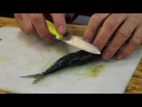 download lagu mp3 mp4 Karanteen, download lagu Karanteen gratis, unduh video klip Karanteen