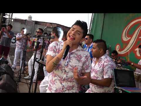 SI TE VAS TE VAS...(D.R.) LOS CLAVELES DE LA CUMBIA en 4K / BARRANCA 2020