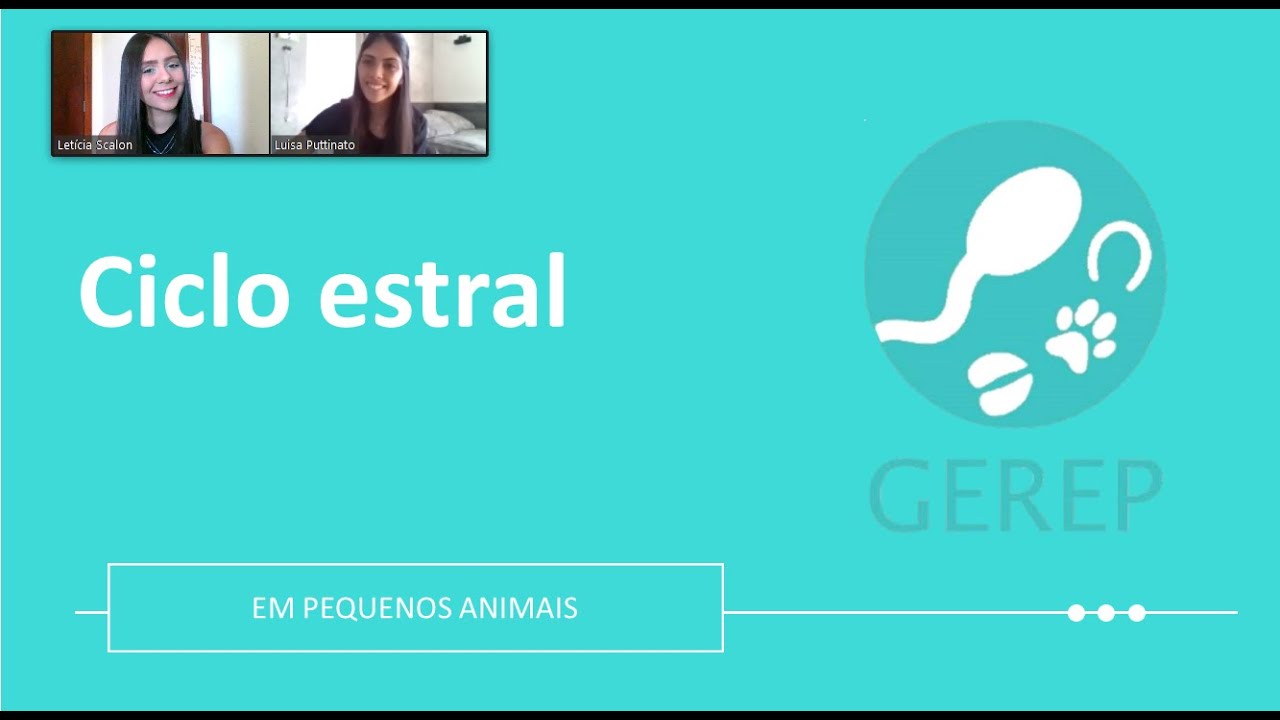Ciclo Estral em Pequenos Animais
