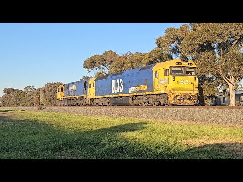 D731V PN down light engines (BL33. XR559)  Murtoa to Dimboola, 1750, 4/10/25, Horsham VIC 