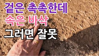 텃밭 물줄때 시간낭비 물낭비 없이 땅속 깊이 물주는 방법