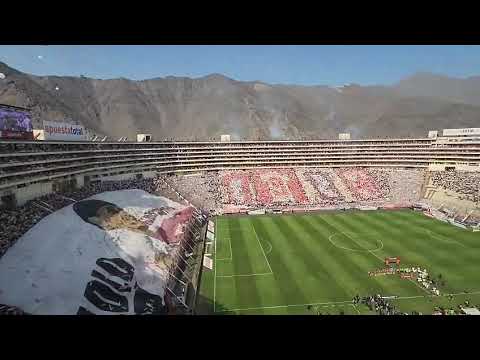 "Recibimiento monumental al equipo " Barra: Trinchera Norte &bull; Club: Universitario de Deportes &bull; País: Peru