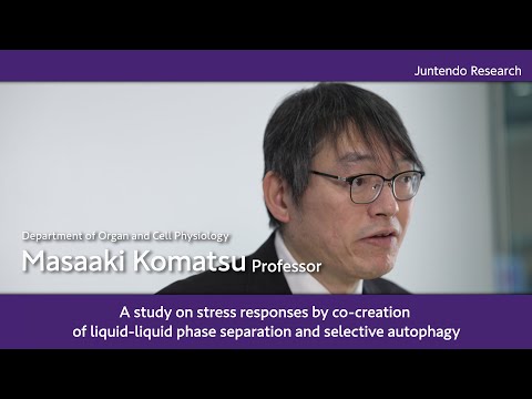 医学科 Stress responses by co-creation of liquid-liquid phase separation and selective autophagy