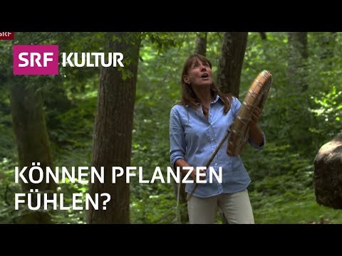 Video-Thumbnail von YouTube