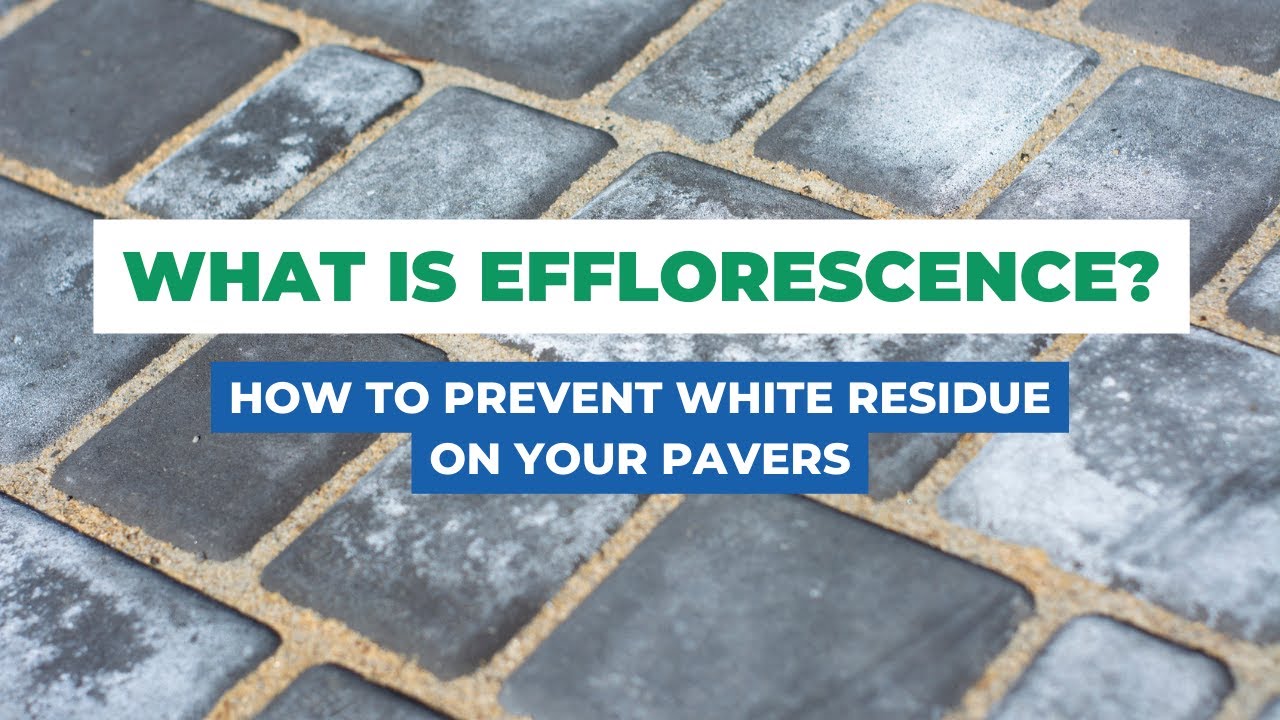 Paver Problems: What is Efflorescence?