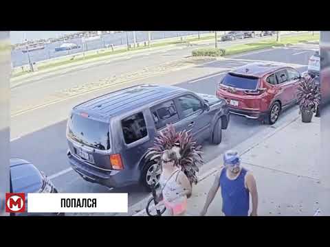 ТАКОЕ Увидишь Раз в Жизни Случаи на Дороге Снятые на Камеру