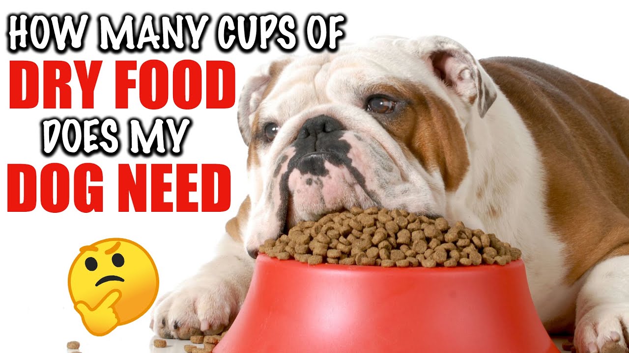 Watch video How Many Cups Of Dry Food Does My Dog Need Now How Many Cups Of Dry Food Does My Dog Need