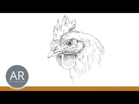 Huhn malen lernen. Tiere malen lernen. Tier-Illustrationen zeichnen. Kunst auf Lehramt Mappe