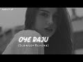 Oye Raju Pyar Na Kariyo Slowed Ñ Reverb