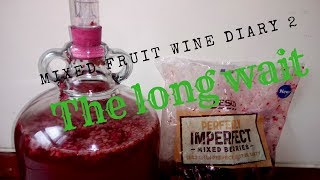 mixed berry fruit wine diary 2  the long wait