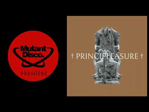 PREMIERE : Principleasure - Sylmar (Principleasure)