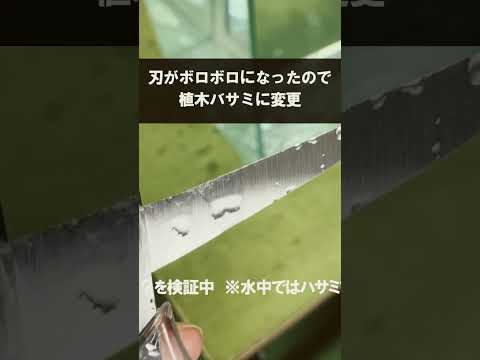 スイミングプールの輪郭をどのように配置するか?プールを舗装、植栽、家具で囲むための 3 つのアイデア  庭園