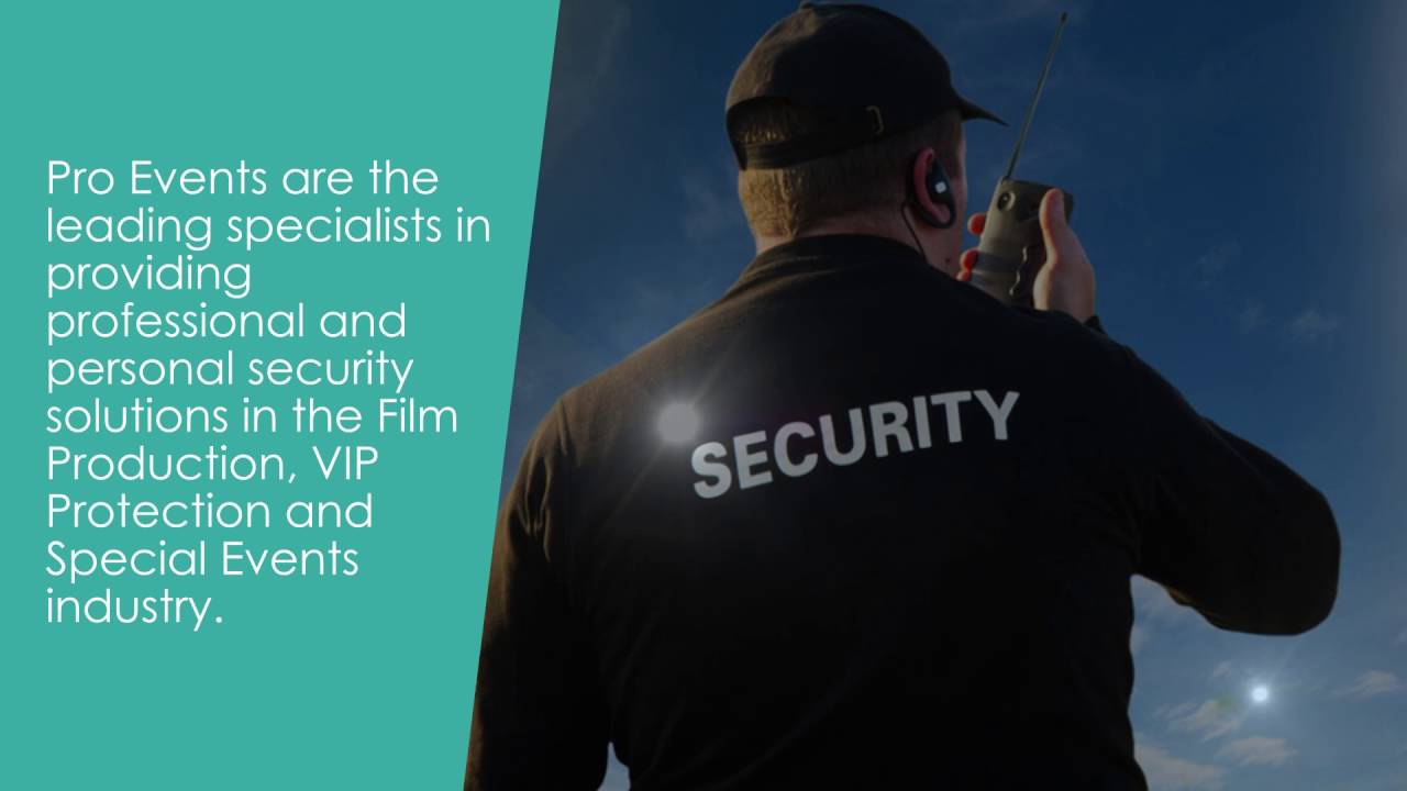 Pro Events Security