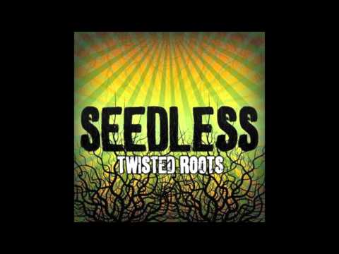 Seedless (feat. Dan Kelly of Fortunate Youth) - The Light