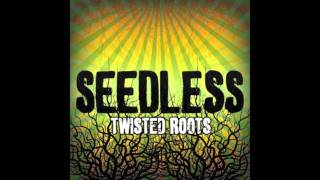 Seedless (feat. Dan Kelly of Fortunate Youth) - The Light
