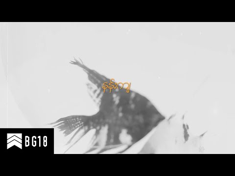 Yair Yint Aung  [Pre-Release Single] - နန်းကျ (Official Visualizer)