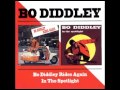 Bo Diddley - You Can't Judge A Book By The Cover